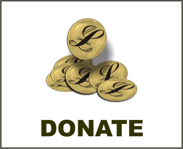 Donate Now button for Michael Greater Mayoral election campaign 2021.